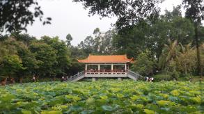 洪湖