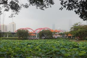 洪湖