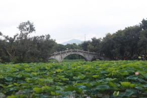 洪湖