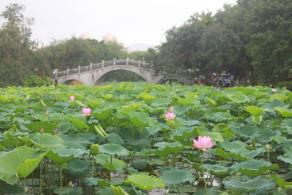 洪湖