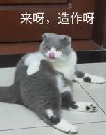 表情包