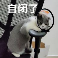 表情包
