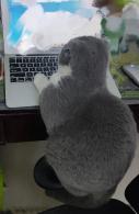 表情包