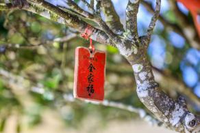 东部华侨城