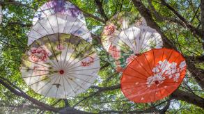 观澜湖生态体育园