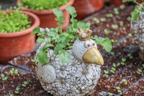 美丽乡村百花节
