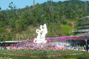 仙湖花展