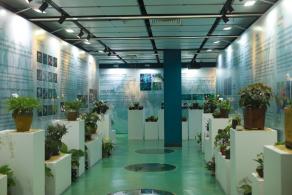 仙湖花展