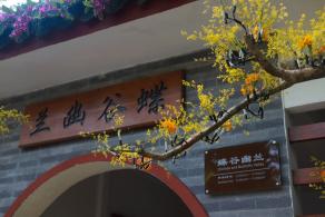 仙湖花展
