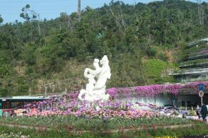 仙湖花展