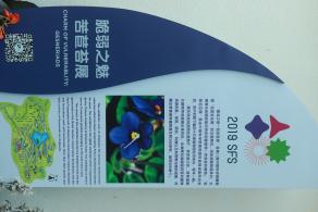 仙湖花展