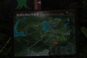 仙湖花展