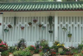 仙湖花展