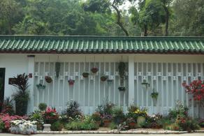 仙湖花展