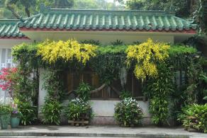 仙湖花展