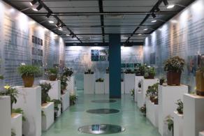 仙湖花展