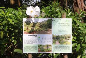 仙湖花展