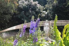 仙湖花展