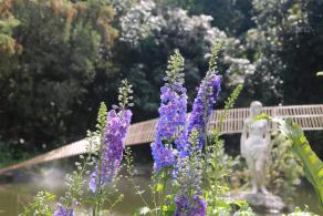 仙湖花展