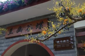 仙湖花展