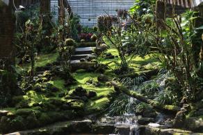 仙湖花展