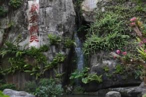 仙湖花展