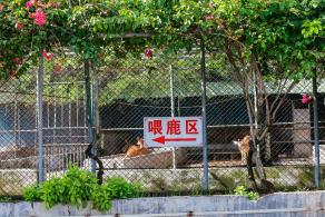 光明农场大观园
