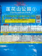 2024莲花山勒杜鹃展