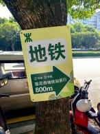 2024莲花山勒杜鹃展