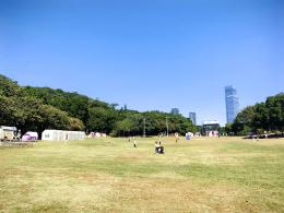 2024莲花山勒杜鹃展