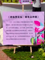 2024莲花山勒杜鹃展