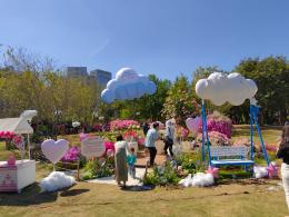 2024莲花山勒杜鹃展