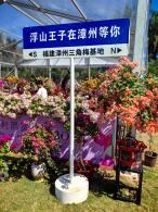 2024莲花山勒杜鹃展