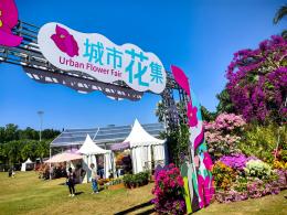 2024莲花山勒杜鹃展