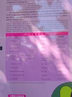 2024莲花山勒杜鹃展