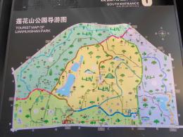 2024莲花山勒杜鹃展