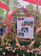 2025粤港澳大湾区花展
