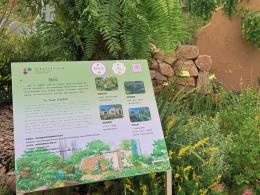 2025粤港澳大湾区花展