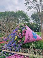 2025粤港澳大湾区花展