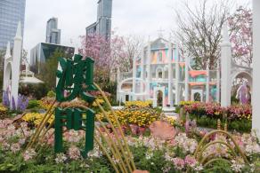 2025粤港澳大湾区花展