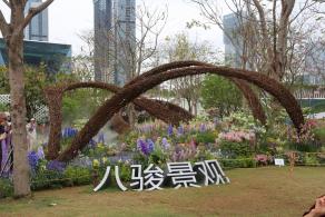 2025粤港澳大湾区花展