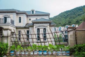 文谷庄园