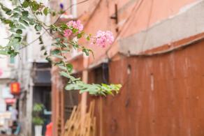 大芬油画村