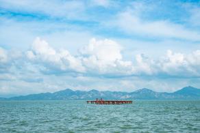 深圳湾滨海休闲带西段