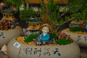 荷兰花卉小镇