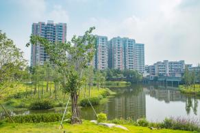 深圳万丰湖湿地公园