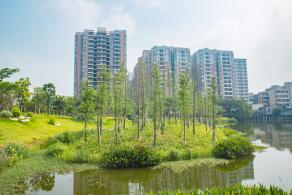 深圳万丰湖湿地公园