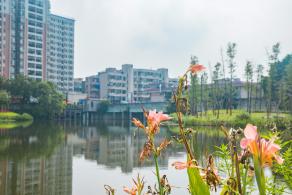 深圳万丰湖湿地公园