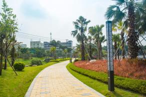 深圳万丰湖湿地公园