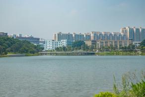 深圳万丰湖湿地公园